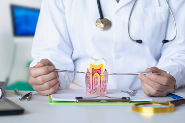 Best Emergency TMJ Treatment in Reynolds Heights, PA